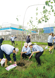 工業団地での植樹